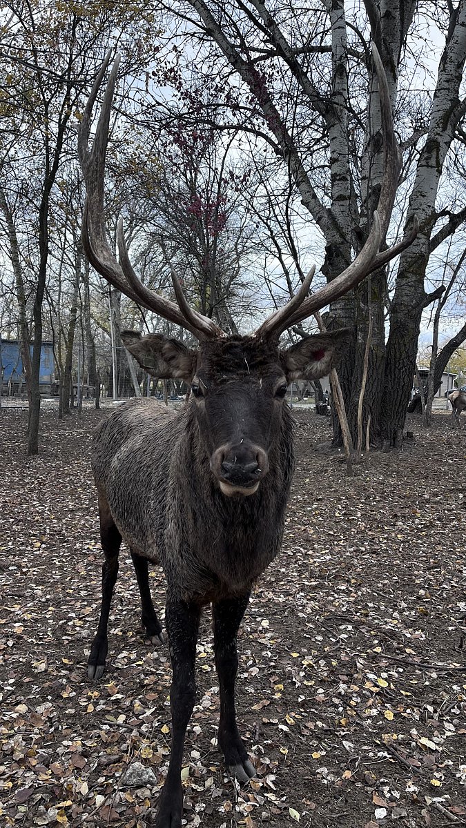 Фото 180 из отзыва о базе отдыха Донская Миля