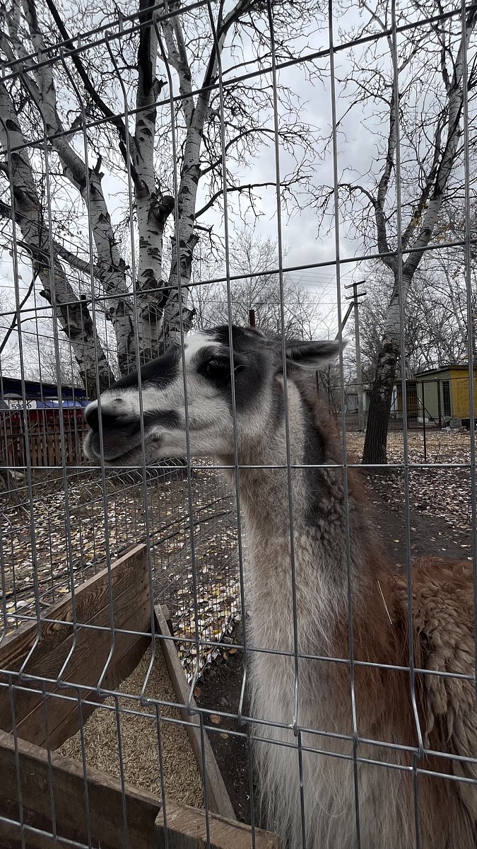 Фото 182 из отзыва о базе отдыха Донская Миля