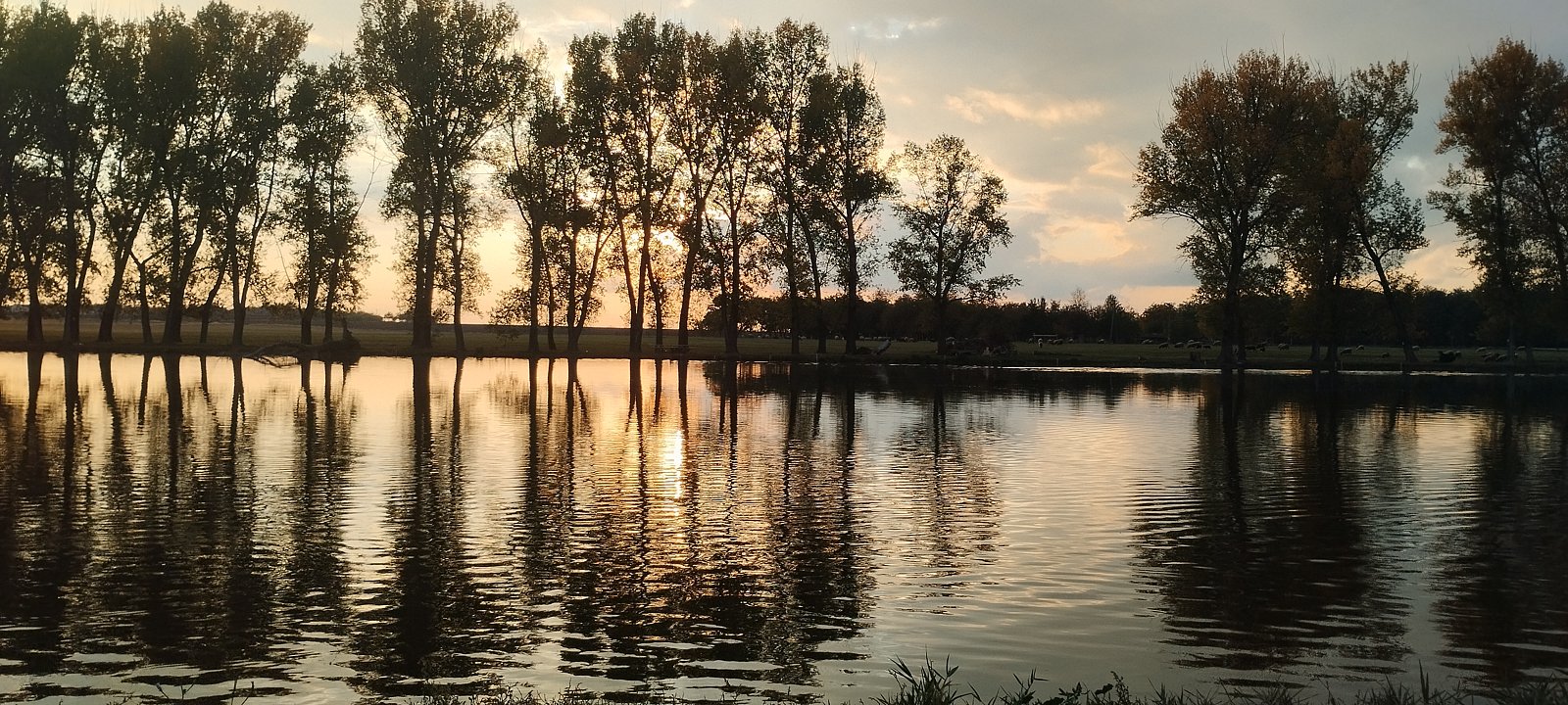 Фото 33 из отзыва о гостевом доме Гораль