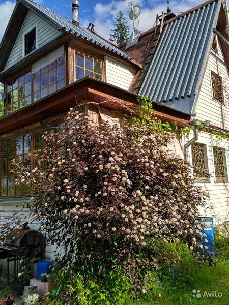 Вуокса-Хилл, Ленинградская область: фото 4