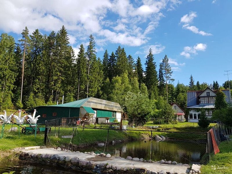 Вуокса-Хилл, Ленинградская область: фото 2