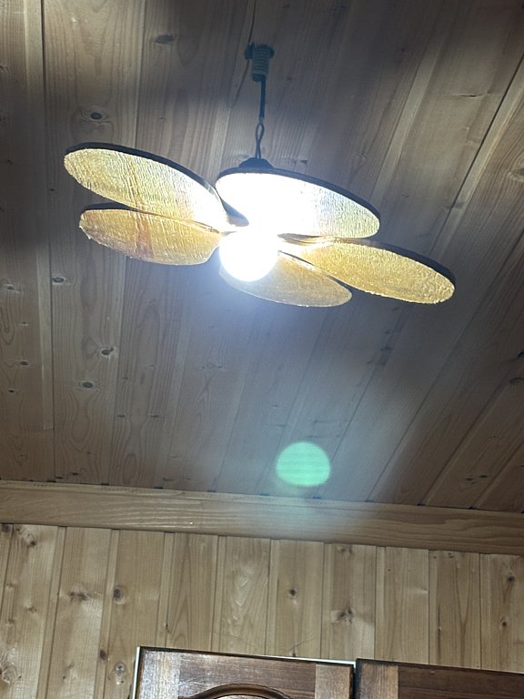 Фото из отзыва от 01.11.2024