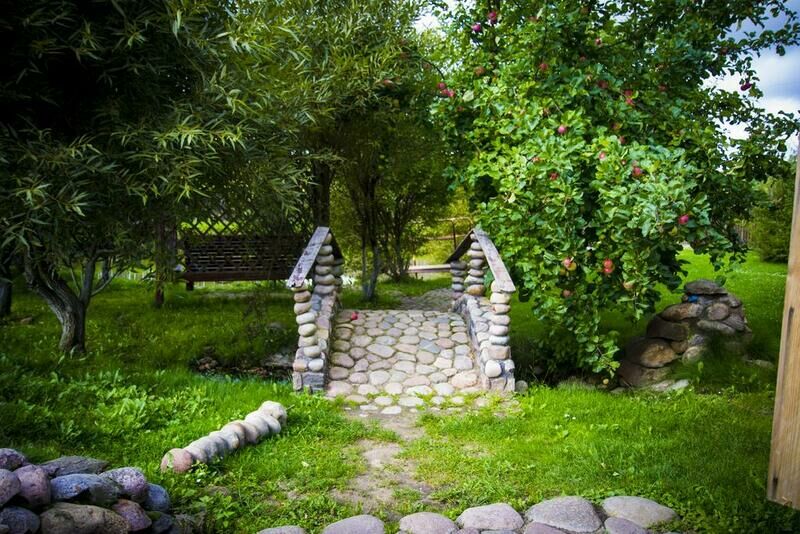 Белый аист, Гродненская область: фото 3