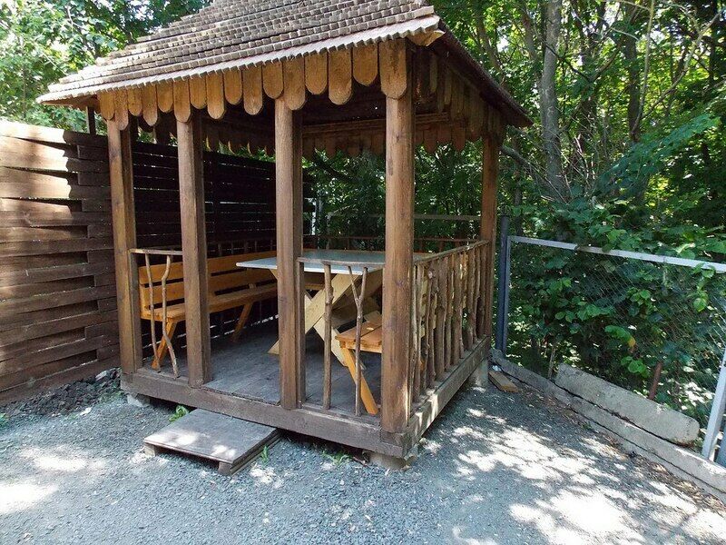 У Дуба, Белгородская область: фото 2