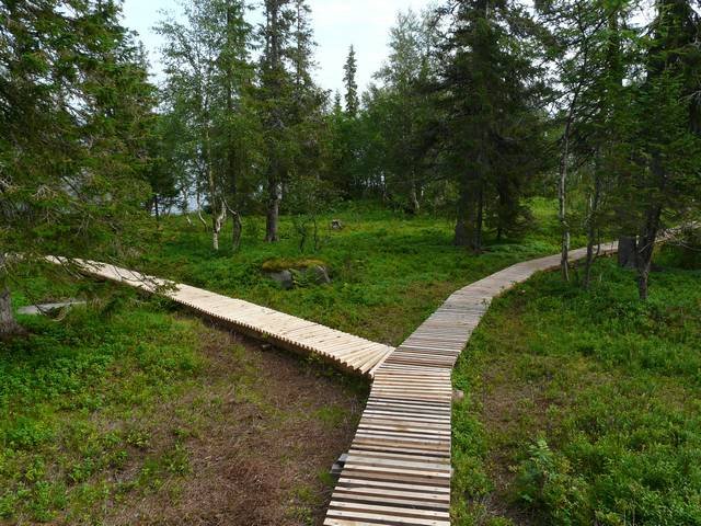 Русская Лапландия, Мурманская область: фото 4