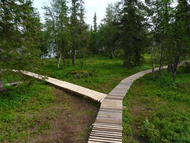 Русская Лапландия, Мурманская область: фото 4