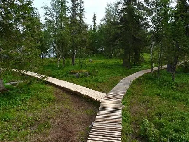 Русская Лапландия, Мурманская область: фото 4