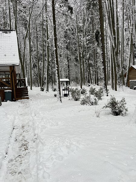 Фото 2 из отзыва о гостевом доме Ильинский пляж