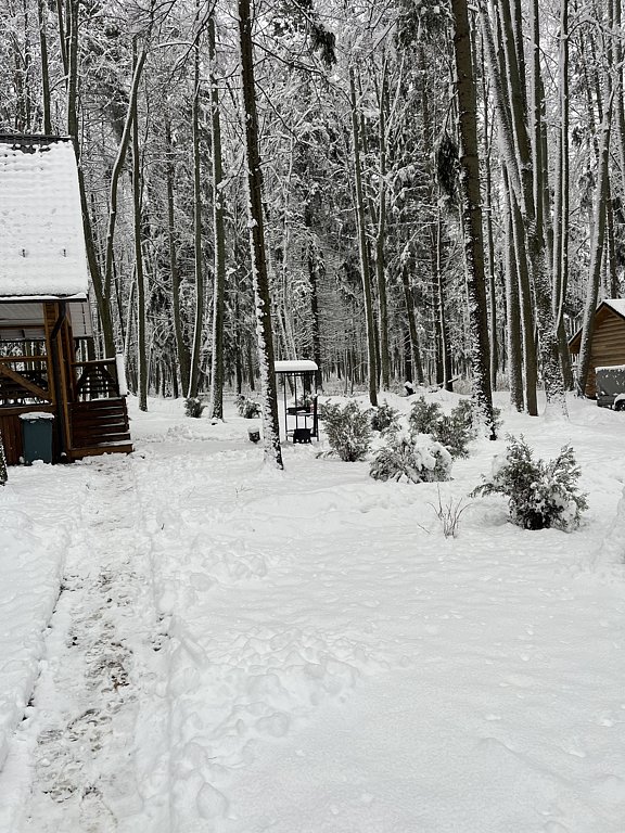 Фото из отзыва от 22.11.2024