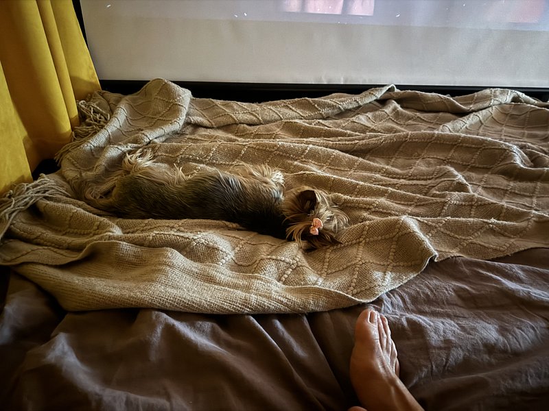 Фото 1 из отзыва о глэмпинге Domingo Dacha A-Frame