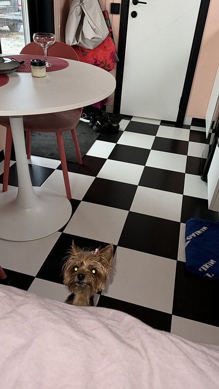 Фото из отзыва от 22.11.2024