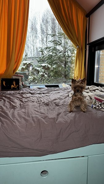 Фото 4 из отзыва о глэмпинге Domingo Dacha A-Frame