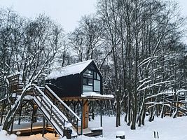 Дом на дереве «Прогулка по Нью-Йорку», Глэмпинг Vazuza Love, Гагаринский