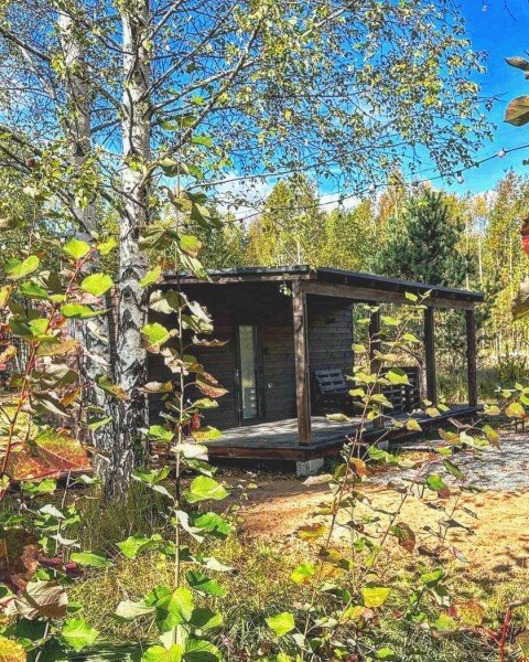 Клюква, Рязанская область: фото 4