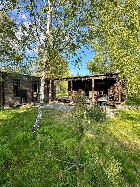 Клюква, Рязанская область: фото 2