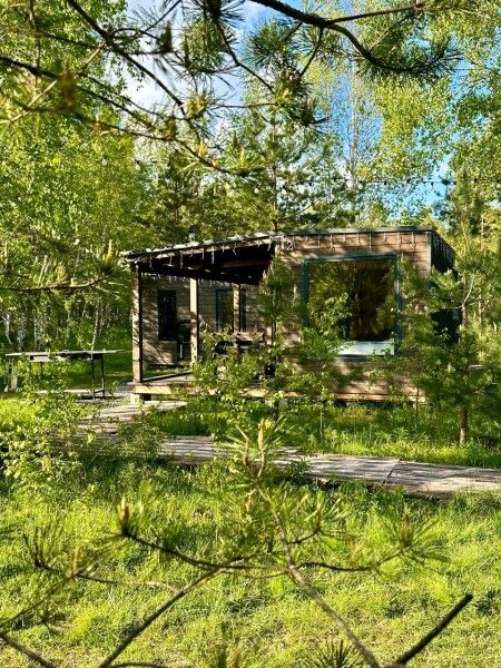 Клюква, Рязанская область: фото 3