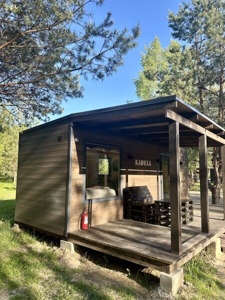 Клюква, Рязанская область: фото 5