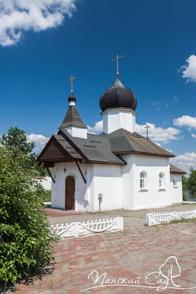 Панский сад, Гомельская область: фото 3