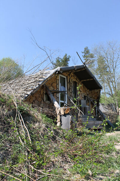 Мишкина сказка, Республика Карелия: фото 5