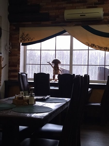 Фото 1 из отзыва о гостинице Лесная сказка