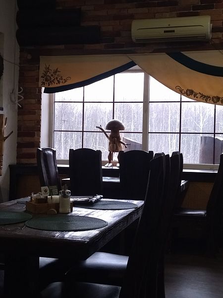 Фото 1 из отзыва о гостинице Лесная сказка