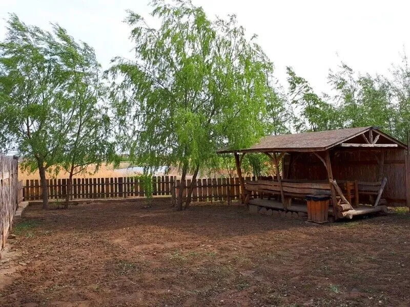 У МИХАЛЫЧА, Волгоградская область: фото 4