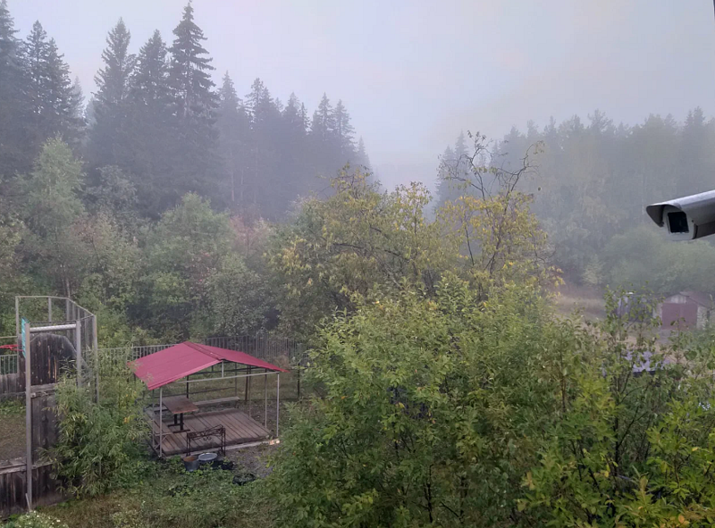 Путешественник, Челябинская область: фото 2