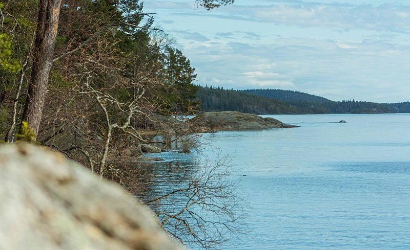 Гостевой Дом Lberry Брусника, Республика Карелия: фото 3