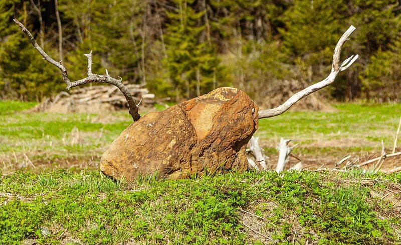 Гостевой Дом Lberry Брусника, Республика Карелия: фото 5