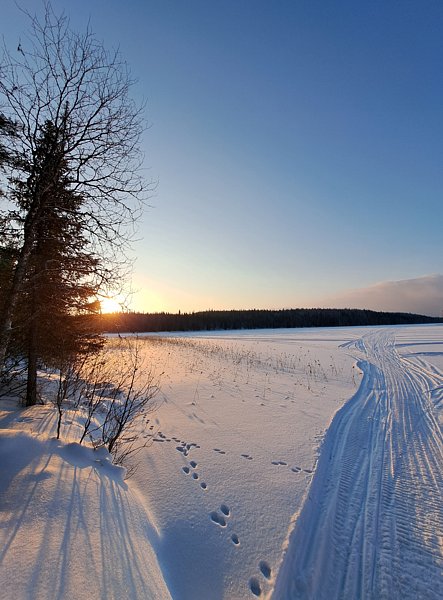 Товское озеро , Архангельская область: фото 3