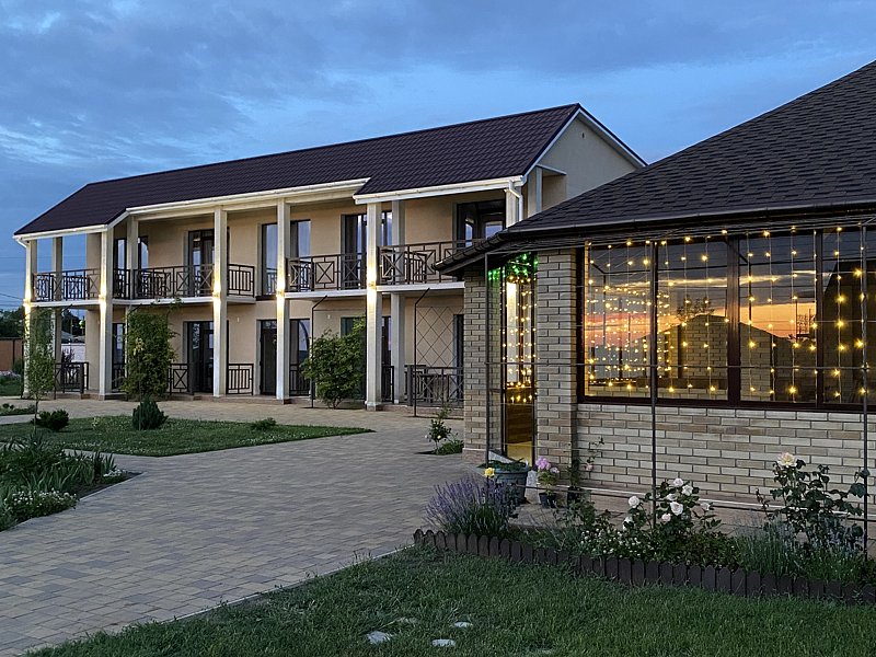 Сантолина, Крым: фото 2