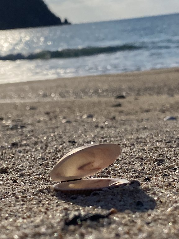 Фото из отзыва от 04.12.2024