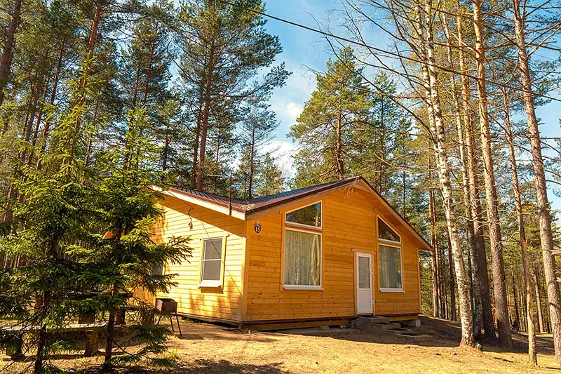 Журавушка, Ленинградская область: фото 3