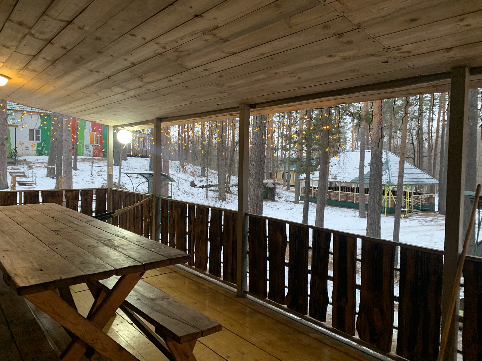 Фото 2 из отзыва о базе отдыха Лесная Дача