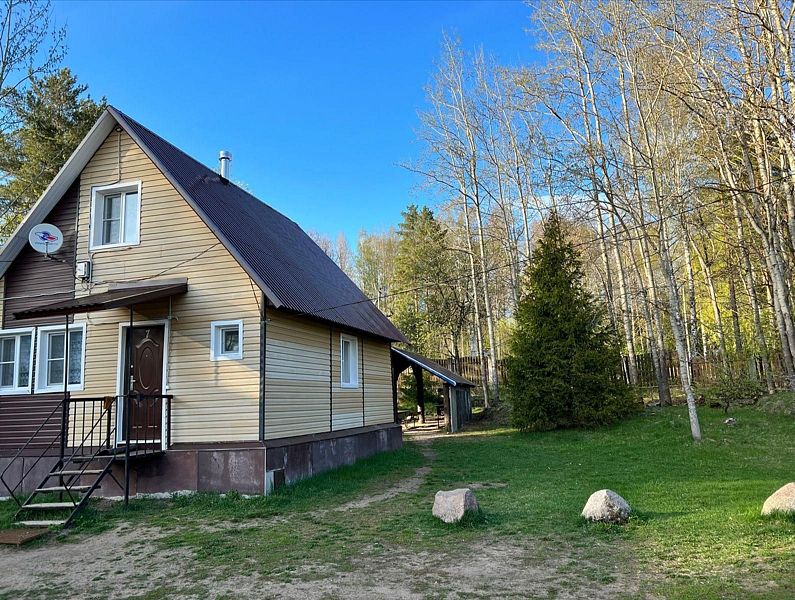 Кот Матроскин, Ленинградская область: фото 2