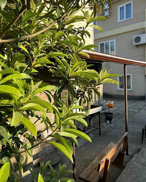 Катюша, Краснодарский край: фото 5