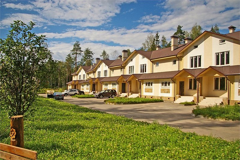 Яхонтовый лес, Московская область: фото 5