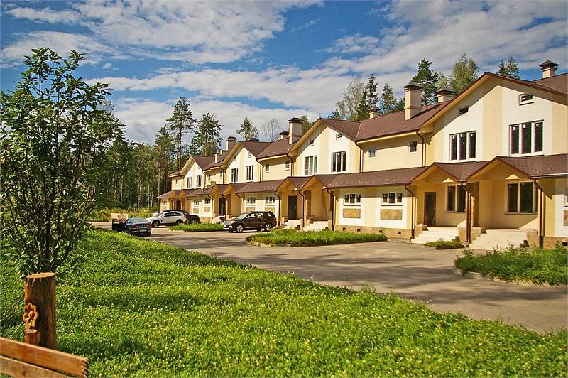 Яхонтовый лес, Московская область: фото 5