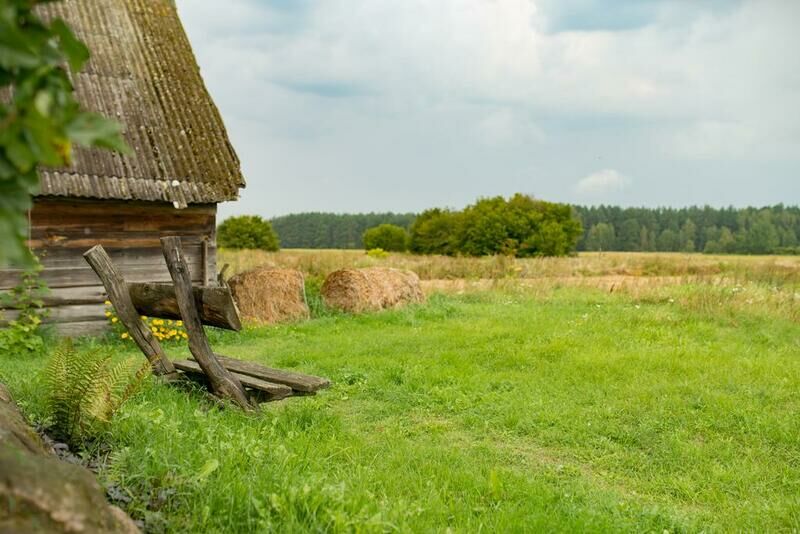 Беловежская светлица, Брестская область: фото 4