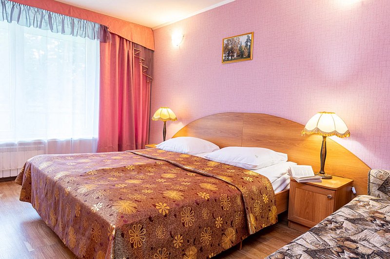 Стандартный 2-местный 1-категории 301-312 (корпус 6)