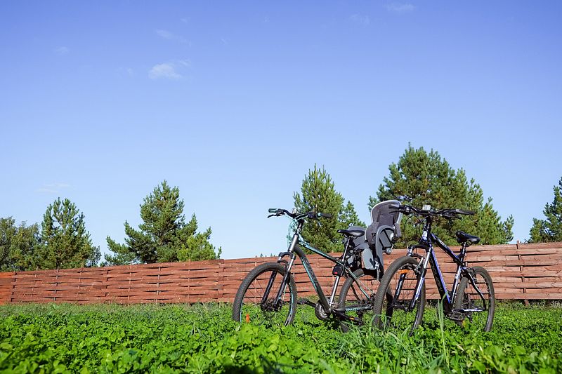 Дубовая роща, Самарская область: фото 4