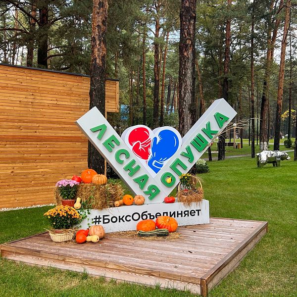 Лесная опушка, Московская область: фото 3