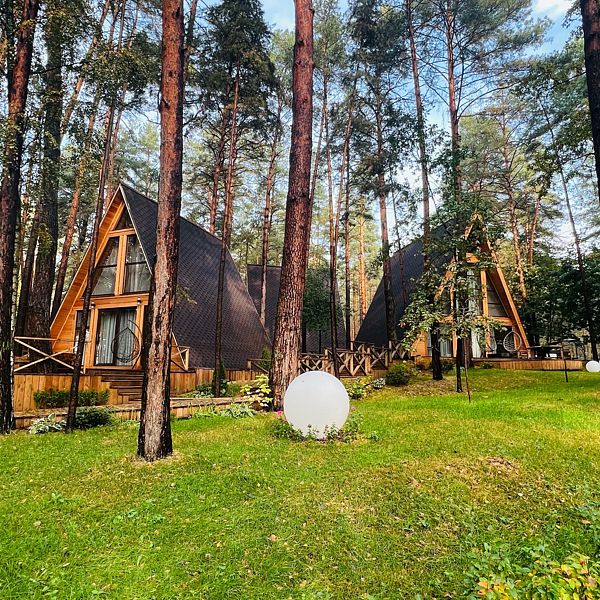 Лесная опушка, Московская область: фото 2