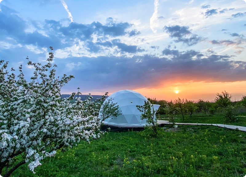 The Garden, Ставропольский край: фото 3