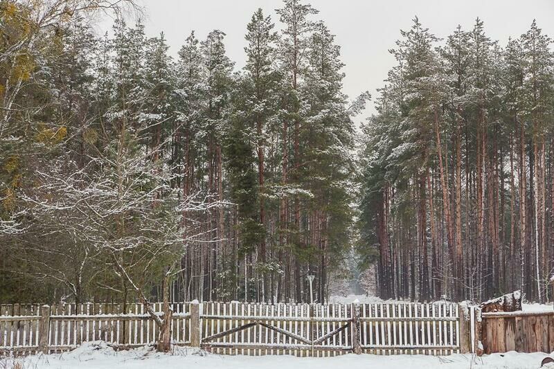 Мшанка, Брестская область: фото 2