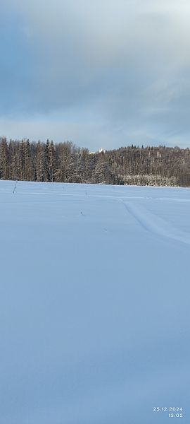 Фото 1 из отзыва о базе отдыха Парк отдыха Белогорье