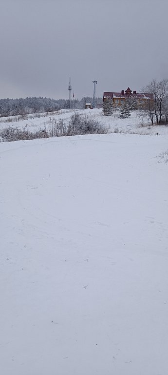 Фото из отзыва от 29.12.2024