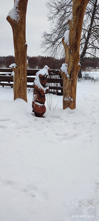 Фото из отзыва от 31.12.2024