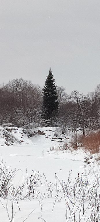 Фото из отзыва от 31.12.2024