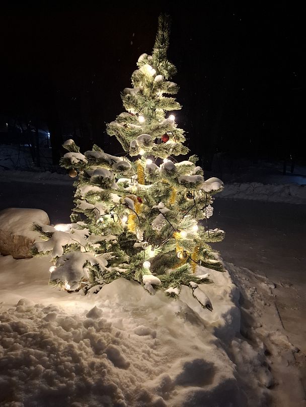 Фото 3 из отзыва о базе отдыха Рассвет